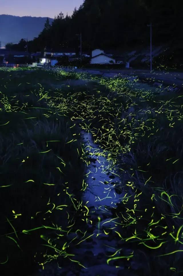 东莞去广州花都区可以进吗？
